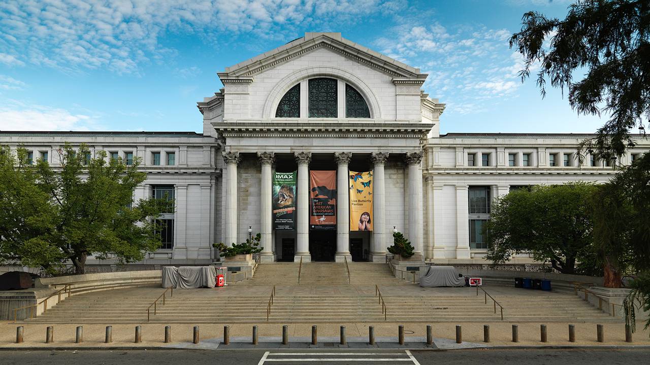 National Museum of Natural History Washington DC Novus Laurus Cultural
